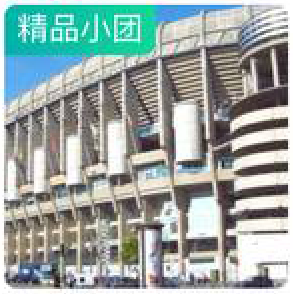 Real Madrid Tour